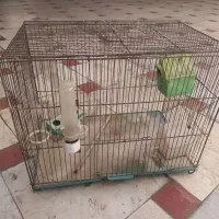 دوعددقفس پرنده
