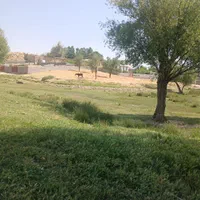 فروش باغچه در خان زنیان با امکانات معاوضه خودرو|فروش خانه و ویلا|شیراز, شهرک امیر کبیر|دیوار