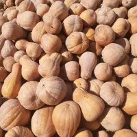 کدو حلوایی|خوردنی و آشامیدنی|مشگین شهر, |دیوار