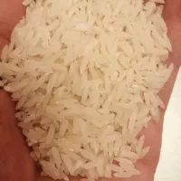 برنج هاشمی درجه یک