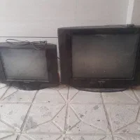 تلویزیون