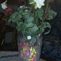 تعدادی لوازم منزل|مبلمان خانگی و میز عسلی|اقبالیه, |دیوار