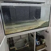 آکواریوم برند ایران آکواریوم|ماهی|تهران, باغ فیض|دیوار