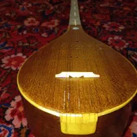 س تار کد۰۰۲|سازهای سنتی|اهواز, گلستان|دیوار