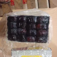 خرما دوردیف سه ردیف گالن موجود