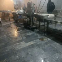 کارگر ساده برای کشتارگاه مرغ بسته بندی مرغ