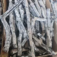 ذغال قلیونی چوب پسته