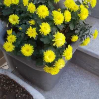 گمشده مدارک