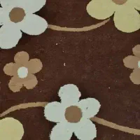 انجام امورات فرش شویی،  پذیرایی  مجالس