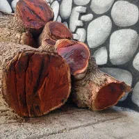 چوب سرخ عناب