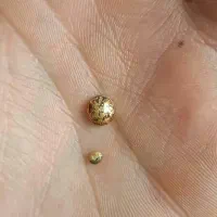 بازیافت فلزات گرانبها|خدمات پیشه و مهارت|کامیاران, |دیوار