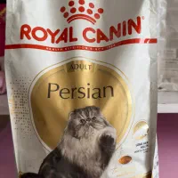غذا خشک گربه رویال