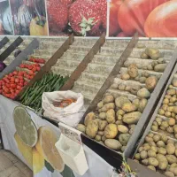 استند میوه|فروشگاه و مغازه|رباط‌کریم, شهرک والفجر|دیوار