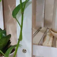 استند گل و گلدان|کتابخانه، شلف، قفسه‌های دیواری|جم, |دیوار