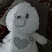 عروسک Care Bear ارجینال|اسباب‌بازی بچه|شیراز, مبعث|دیوار