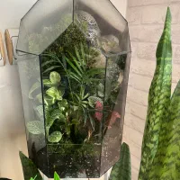 تراریوم و ویواریوم و موساریوم