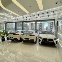 BMW X2 2025 SDRIVE25i