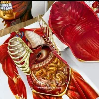 کتاب خوانی کودک و نوجوان