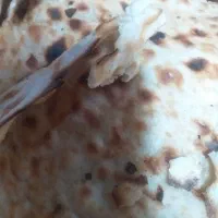 نون خشک فقط سنگک