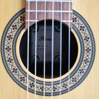 گیتار کلاسیک پارسی مدل K120|گیتار، بیس، امپلیفایر|اردبیل, |دیوار