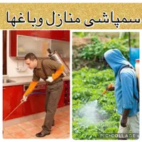 سمپاشی خانه وباغ+سموم ترکیبی زیرنظرمتخصص