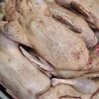 اردک محلی تمیز وپاک شده