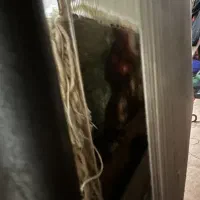 تابلو فرش نیمه بافته با تمام وسایل و نخ و نقشه|تابلو فرش|مشهد, طلاب|دیوار