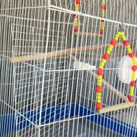 قفس پرنده با محتویات