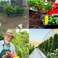 خدمات باغبانی گلکاری درختکاری تعویض خاک گلدان