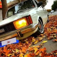 خدمات حواله فیدیلیتی