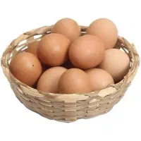 تخم مرغ محلی کردستان