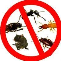 سمپاشی مرکز تخصصی سم پاشی ساس سوسک موش کنه بید کک