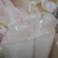 نگه دارنده غذا|ظروف نگهدارنده، پلاستیکی، یک‌بارمصرف|دورود, |دیوار