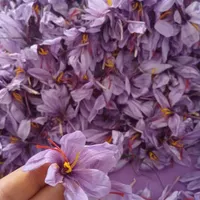 زعفران درجه یک و اصل مشهد|خوردنی و آشامیدنی|تهران, قیام‌دشت|دیوار