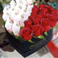 فاطی گلی