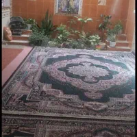 خانه اجاره ای مادوان پایین شهدای ۵|اجارهٔ خانه و ویلا|یاسوج, |دیوار