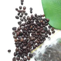 فروش کلی و جزئی قهوه با ارسال رایگان در گیلان|کافی‌شاپ و رستوران|رشت, بازار|دیوار