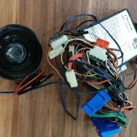 دزد گیر تصویری چینا