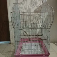 قفس|لوازم جانبی حیوانات|هشتگرد, شهرک افشاریه|دیوار