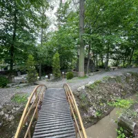 ویلا باغ مرکبات سر سبز ( شهرک بی نظیر) سنددار|فروش آپارتمان|محمودآباد, |دیوار