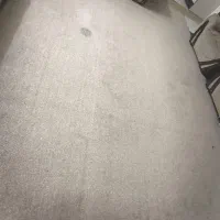 موکت پالز ۳در ۴