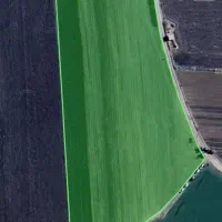 اجاره دو قطعه زمین برای پیاز