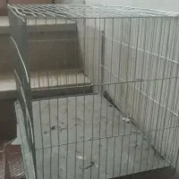 ۲تا قفس پرنده سالم|لوازم جانبی حیوانات|تهران, شارق|دیوار