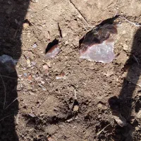 سنگ راف|کلکسیون اشیاء عتیقه|مشهد, بلال|دیوار