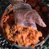 گوجه همراه دستگاه تمام اتوماتیک ارسال درب منزل|عمده‌فروشی|محمدشهر, عباس آباد|دیوار