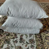 بالشت پرمخلوط شده باپشم شیشه|رختخواب، بالش، پتو|تبریز, |دیوار