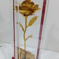 باکس شیشه ای