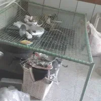 تخت سیمی و ساعت دیواری
