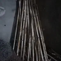 لوله