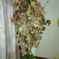 درختچه یک ونیم متری پاییزی سالم|گل مصنوعی|چابهار, |دیوار